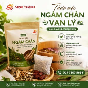 THẢO DƯỢC NGÂM CHÂN VẠN LÝ – CHĂM SÓC SỨC KHỎE TỪ GỐC
